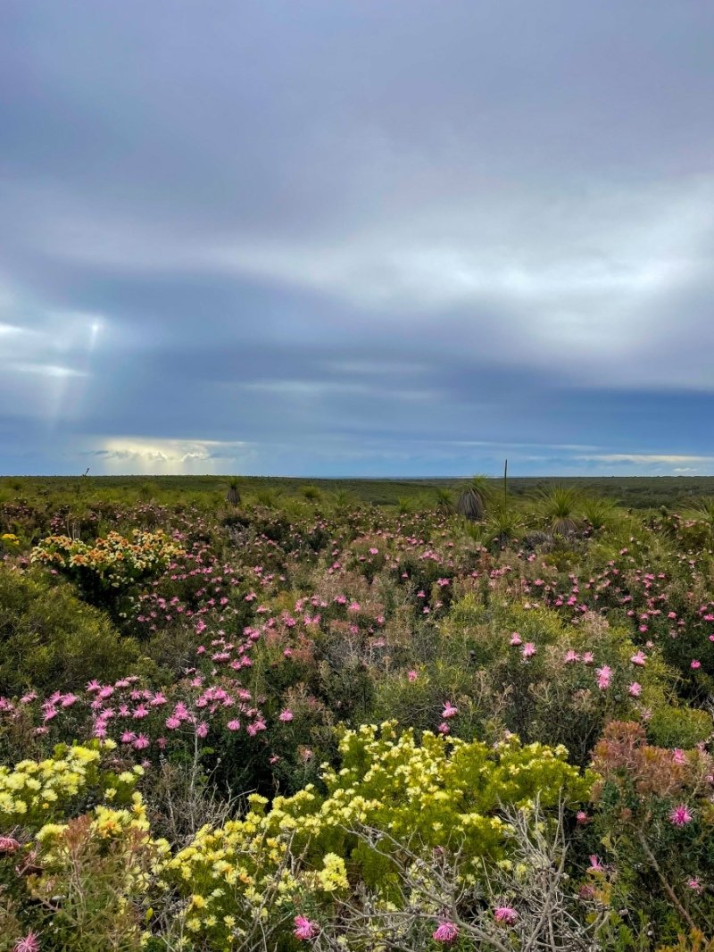 Lesuer National Park