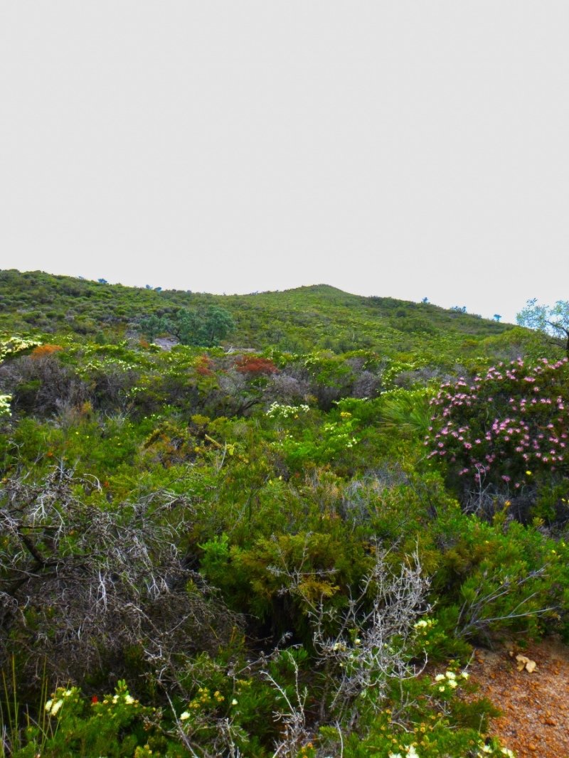 Lesuer National Park