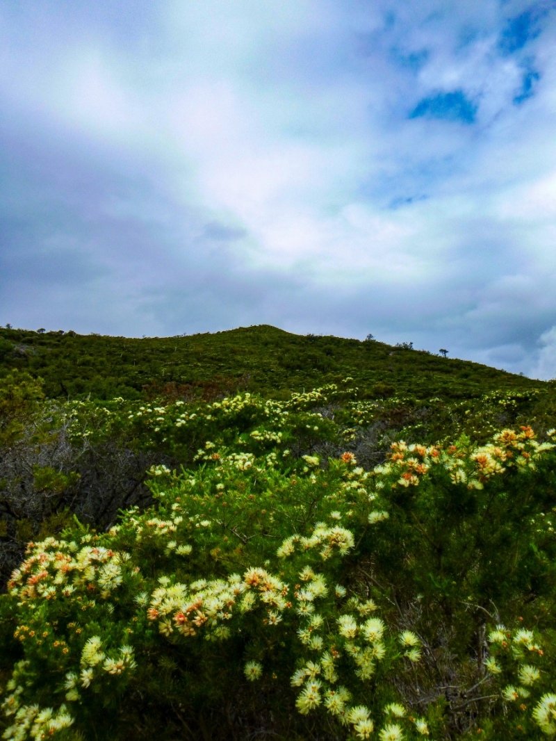 Lesuer National Park