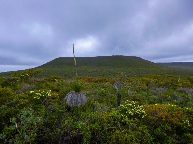 Lesuer National Park