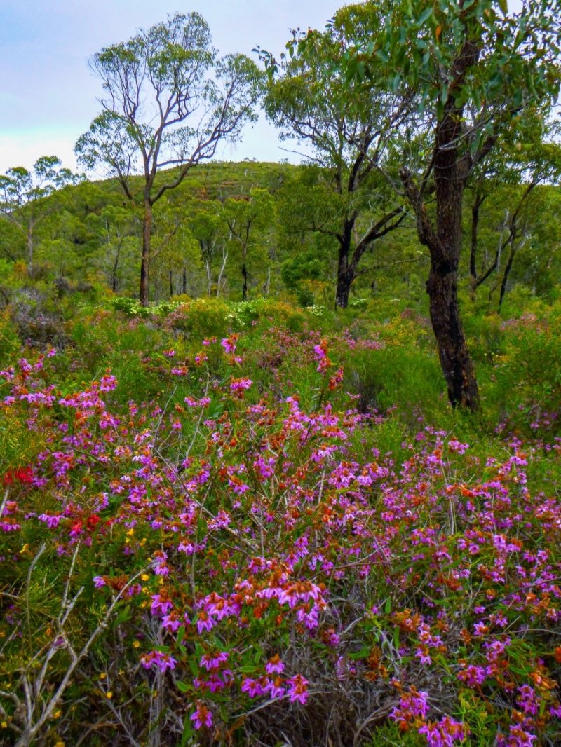 Lesuer National Park