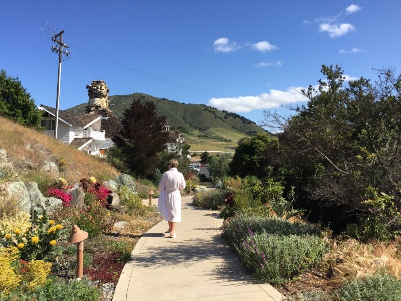 The grounds