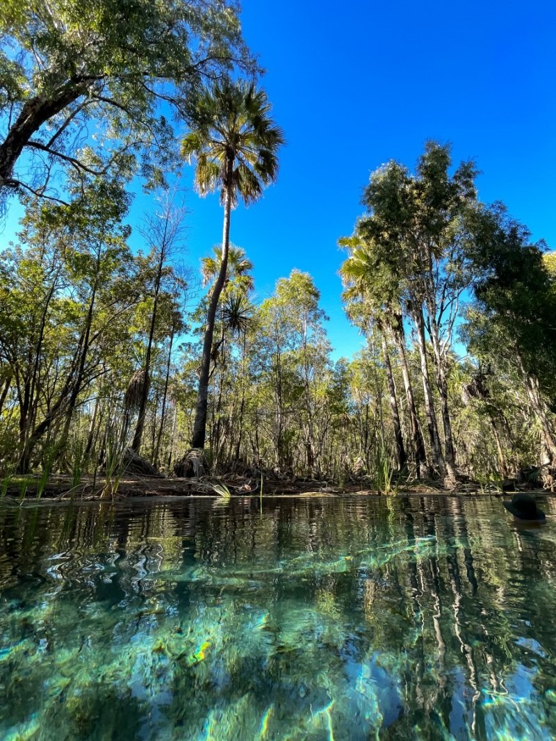 Paradise at Bitter Springs