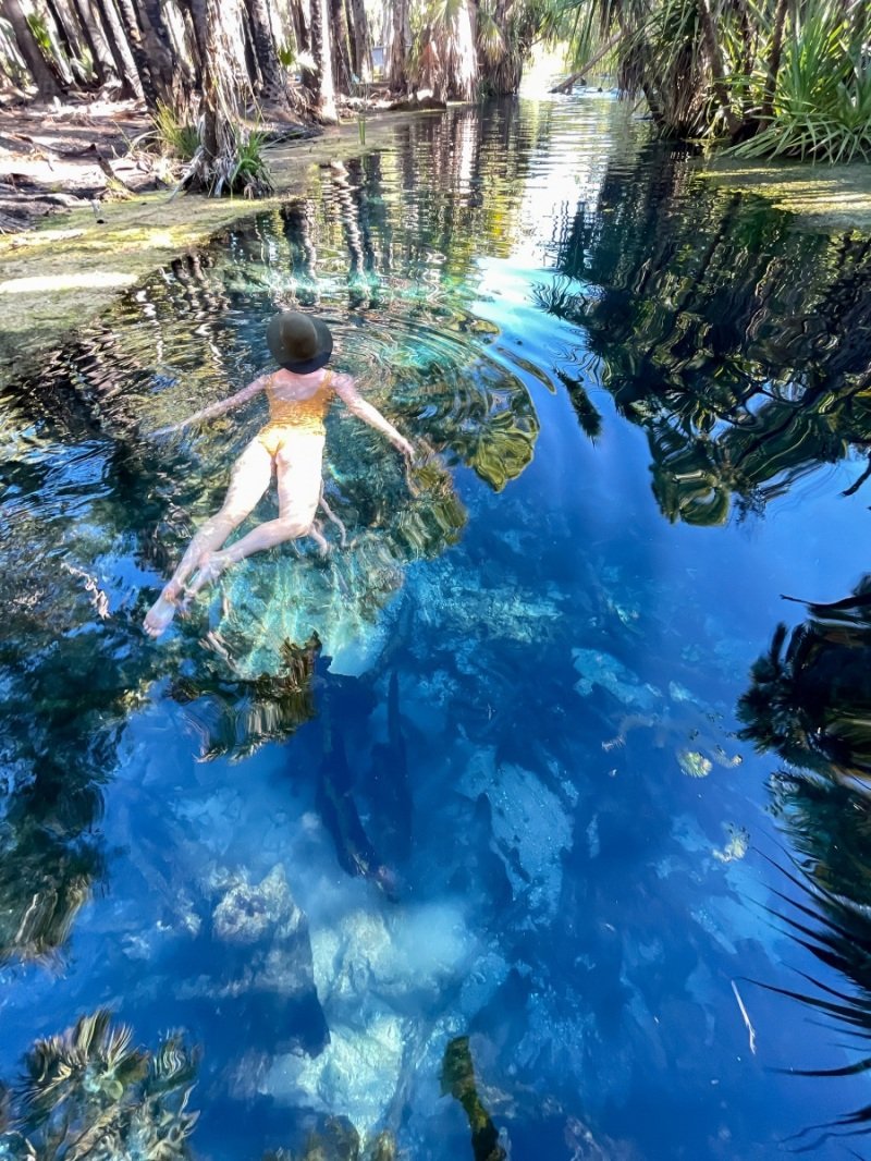 Bitter Springs - so clear!