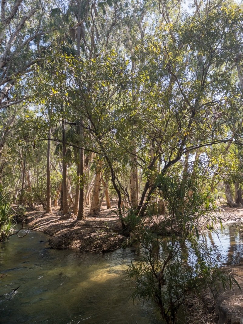 The junction at the Roper River
