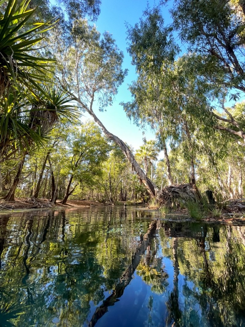 Paradise at Bitter Springs
