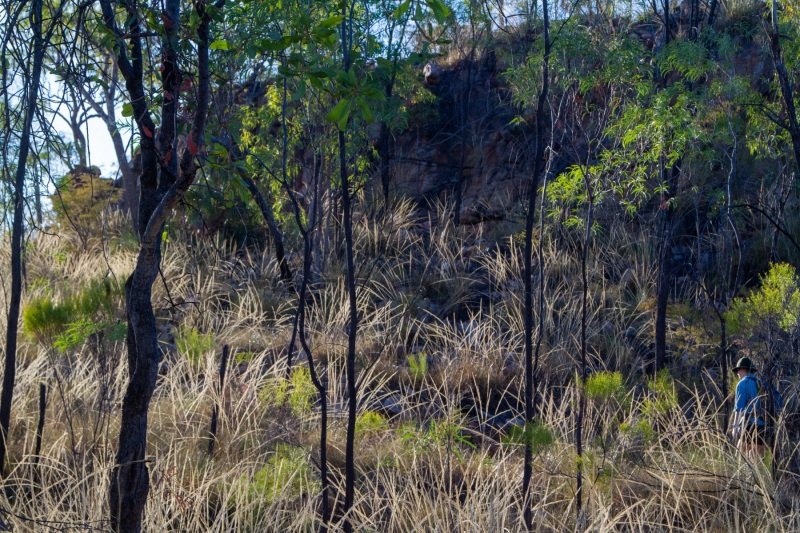 Hiking in Nitmiluk