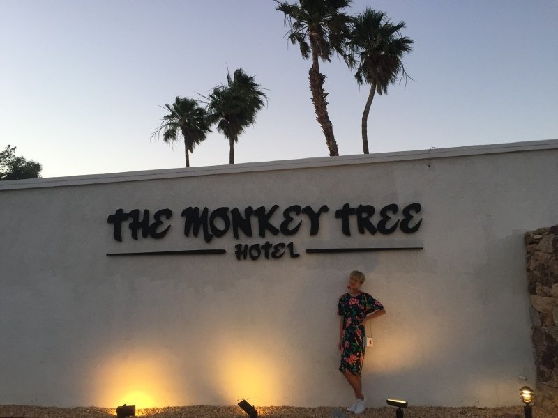 Monkey Tree vibes