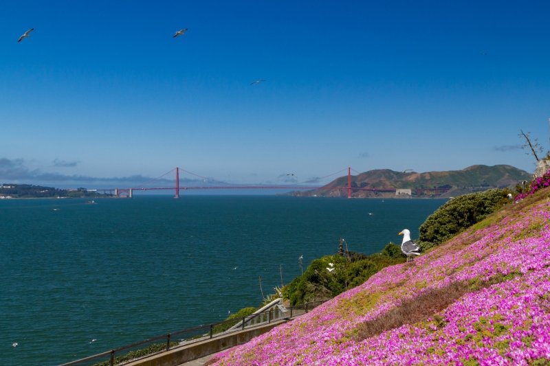 Gardens of Alcatraz