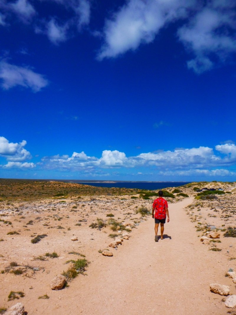 Eagle Buff, Shark Bay