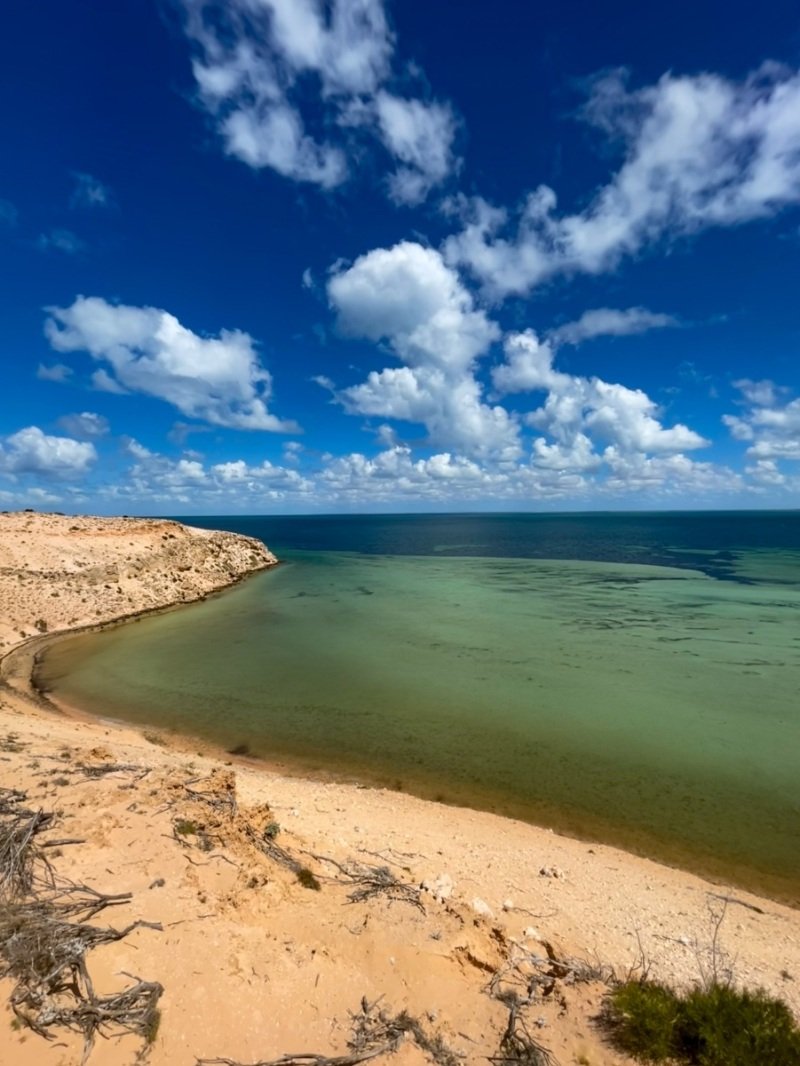 Eagle Buff, Shark Bay