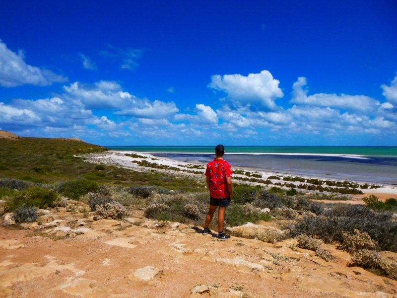 Shell Beach, Shark Bay