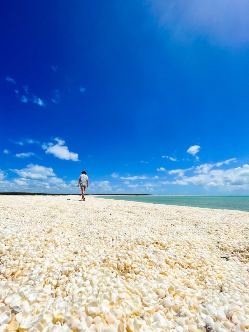 Shell Beach, Shark Bay