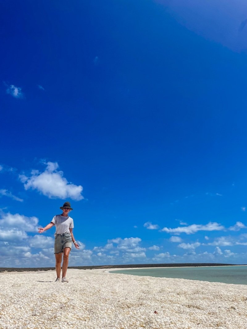 Shell Beach, Shark Bay