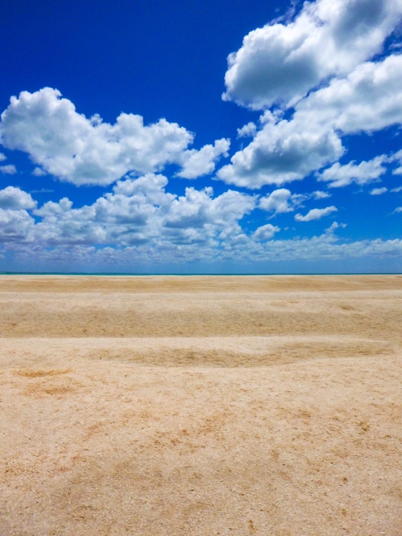 Shell Beach, Shark Bay