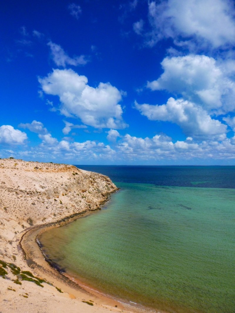 Eagle Buff, Shark Bay