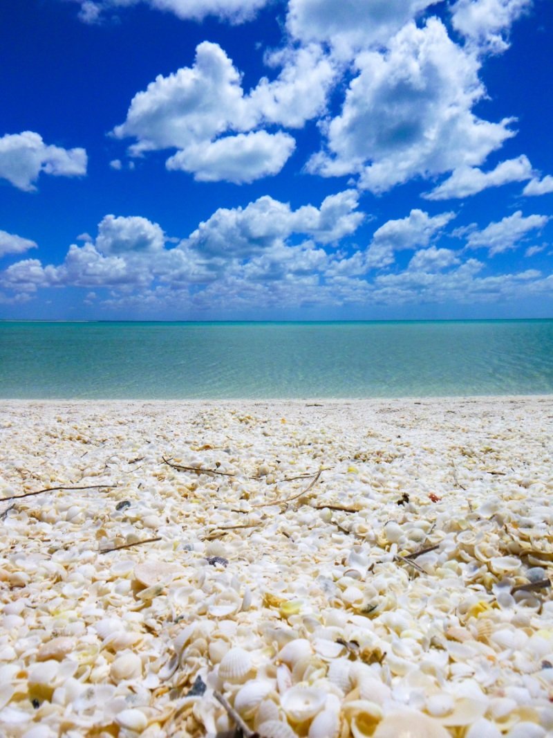 Shell Beach, Shark Bay