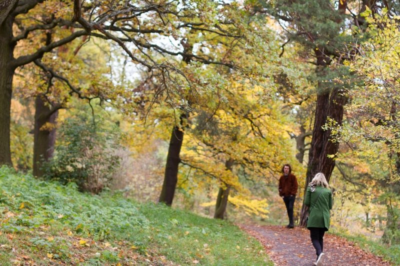 Walking around Djurgarden