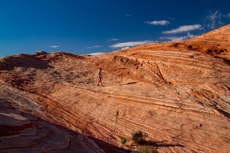 20180426-20180426-_MG_5844