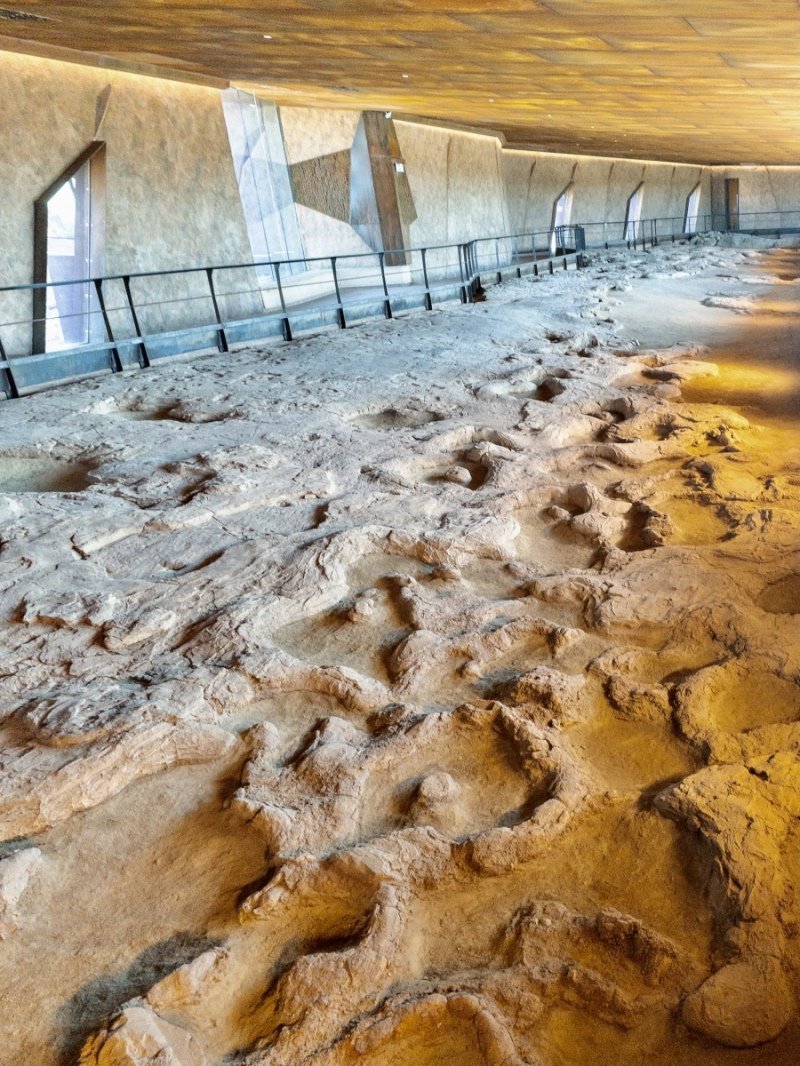 Dinosaur tracks