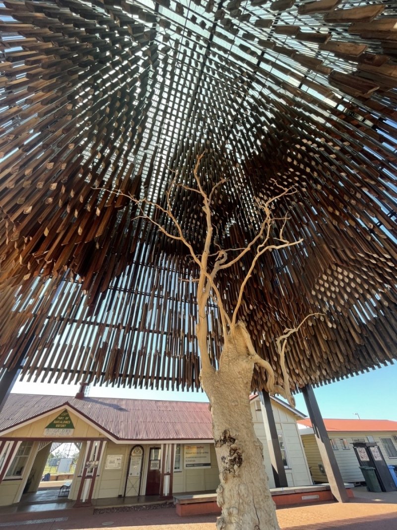 Tree of Knowledge, Barcaldine