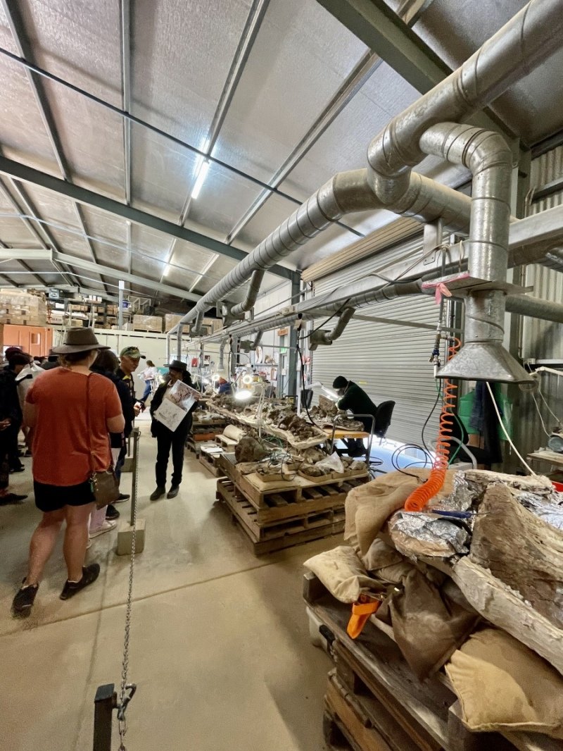 Volunteers exposing fossils