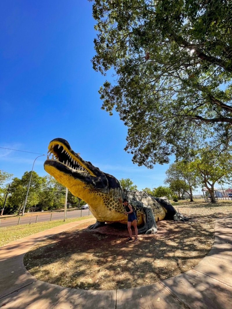 Crocodile in Wyndham