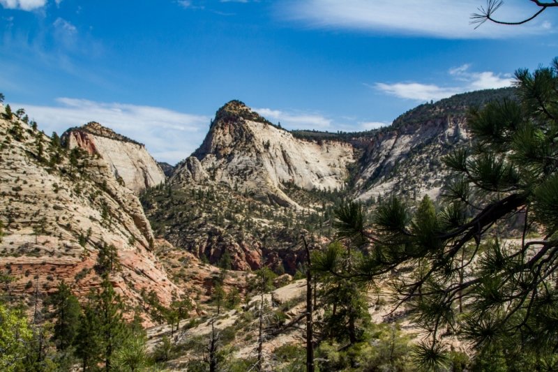 Heading up to Cabin Springs