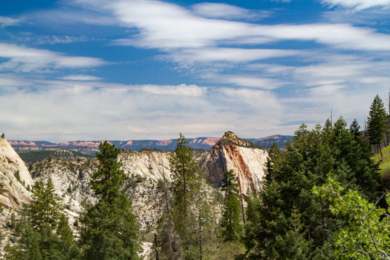 Starting to get some ziews