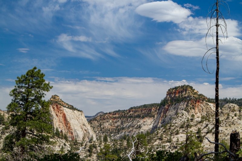 Cabin Springs
