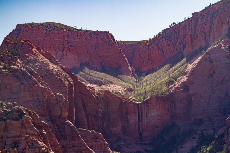 Timber Creek Overlook Trail