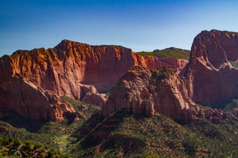 Timber Creek Overlook Trail, look at the hanging garden!